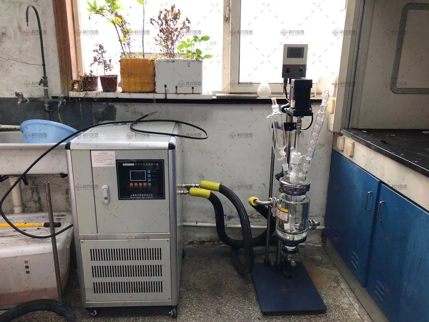 上海玻璃反應釜+制冷加熱循環器